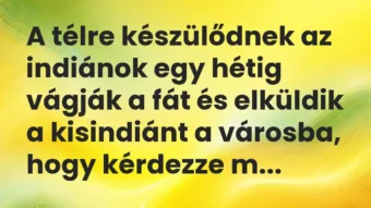 Vicc: A télre készülődnek az indiánok egy hétig vágják a fát és elküldik a kisindiánt…