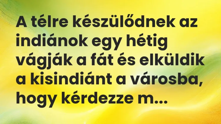 Vicc: A télre készülődnek az indiánok egy hétig vágják a fát és elküldik a kisindiánt…