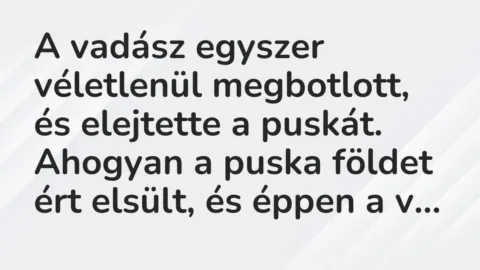 Vicc: A vadász egyszer véletlenül megbotlott, és elejtette a puskát. Ahogyan a puska…