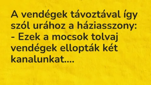Vicc: A vendégek távoztával így szól urához a háziasszony:

– Ezek a mocsok tolvaj…