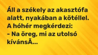 Vicc: Áll a székely az akasztófa alatt, nyakában a kötéllel. A hóhér…