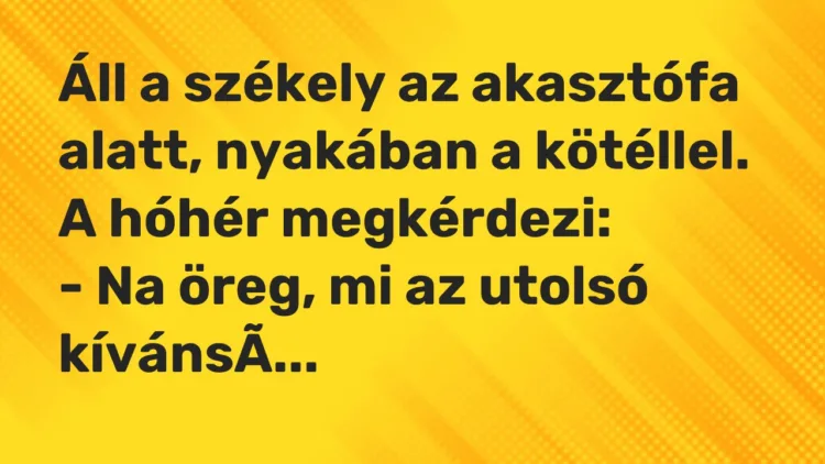 Vicc: Áll a székely az akasztófa alatt, nyakában a kötéllel. A hóhér…