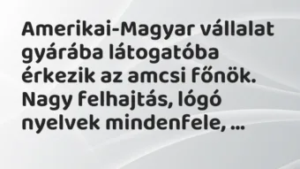 Vicc: Amerikai-Magyar vállalat gyárába látogatóba érkezik az amcsi főnök. Nagy…