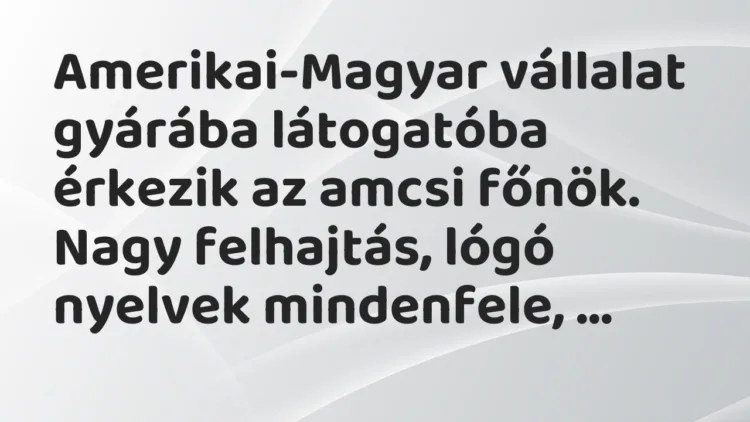 Vicc: Amerikai-Magyar vállalat gyárába látogatóba érkezik az amcsi főnök. Nagy…