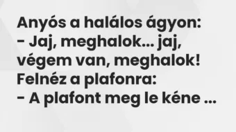 Vicc: Anyós a halálos ágyon: – Jaj, meghalok… jaj, végem van,…