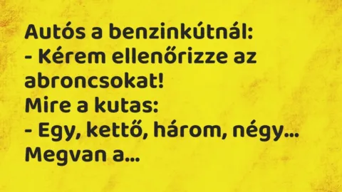 Vicc: Autós a benzinkútnál:

– Kérem ellenőrizze az abroncsokat!

Mire a…