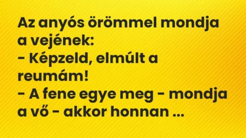Vicc: Az anyós örömmel mondja a vejének:

– Képzeld, elmúlt a reumám!

– A…