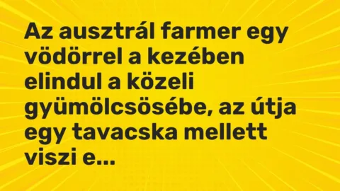 Vicc: Az ausztrál farmer egy vödörrel a kezében elindul a közeli gyümölcsösébe, az…