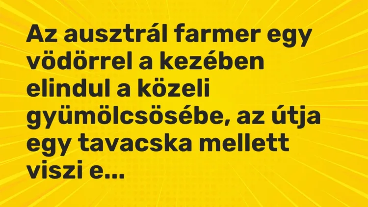 Vicc: Az ausztrál farmer egy vödörrel a kezében elindul a közeli gyümölcsösébe, az…