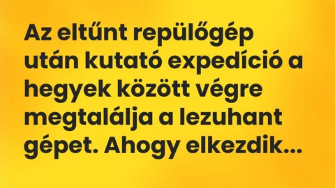 Vicc: Az eltűnt repülőgép után kutató expedíció a hegyek között végre megtalálja a…