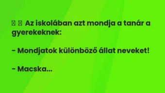 Vicc: Az iskolában azt mondja a tanár a gyerekeknek: – Mondjatok…