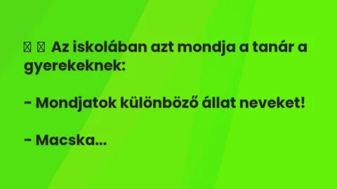Vicc: 
	    	    Az iskolában azt mondja a tanár a gyerekeknek:


– Mondjatok…