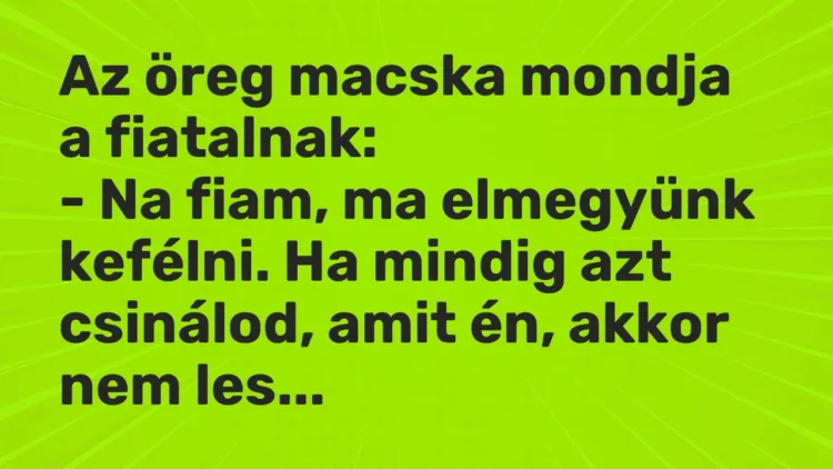 Vicc: Az öreg macska mondja a fiatalnak:
– Na fiam, ma elmegyünk kefélni. Ha… Vicc: Az öreg macska mondja a fiatalnak:
– Na fiam, ma elmegyünk kefélni. Ha…