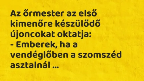 Vicc: Az őrmester az első kimenőre készülődő újoncokat oktatja:

– Emberek, ha a…