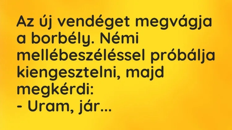 Vicc: Az új vendéget megvágja a borbély. Némi mellébeszéléssel próbálja kiengesztelni,…