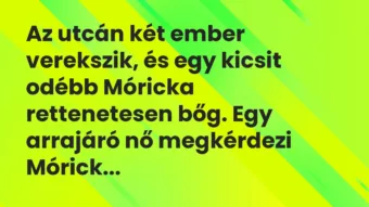 Vicc: Az utcán két ember verekszik, és egy kicsit odébb Móricka rettenetesen bőg. Egy…