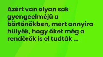 Vicc: Azért van olyan sok gyengeelméjű a börtönökben, mert annyira hülyék, hogy őket…