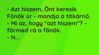 Vicc: – Azt hiszem, Önt keresik Főnök úr – mondja a titkárnő.

– Mi az, hogy „azt…