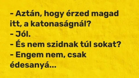 Vicc: – Aztán, hogy érzed magad itt, a katonaságnál?

– Jól.

– És nem szidnak…