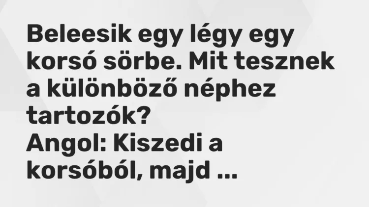 Vicc: Beleesik egy légy egy korsó sörbe. Mit tesznek a különböző néphez…