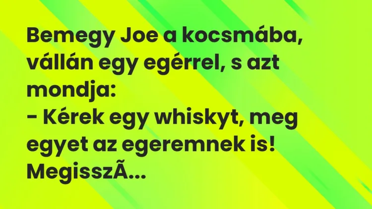 Vicc: Bemegy Joe a kocsmába, vállán egy egérrel, s azt mondja: – Kérek egy…