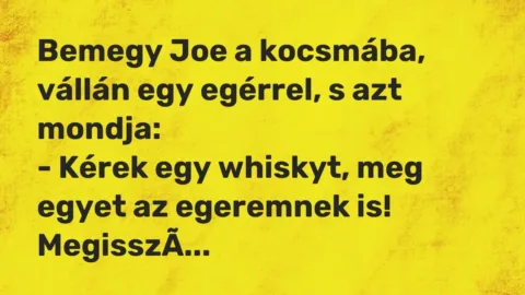 Vicc: Bemegy Joe a kocsmába, vállán egy egérrel, s azt mondja:

– Kérek egy…