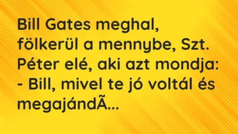 Vicc: Bill Gates meghal, fölkerül a mennybe, Szt. Péter elé, aki azt mondja: 

-…