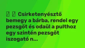 Vicc: Csirketenyésztő bemegy a bárba, rendel egy pezsgőt és odaül a pulthoz…