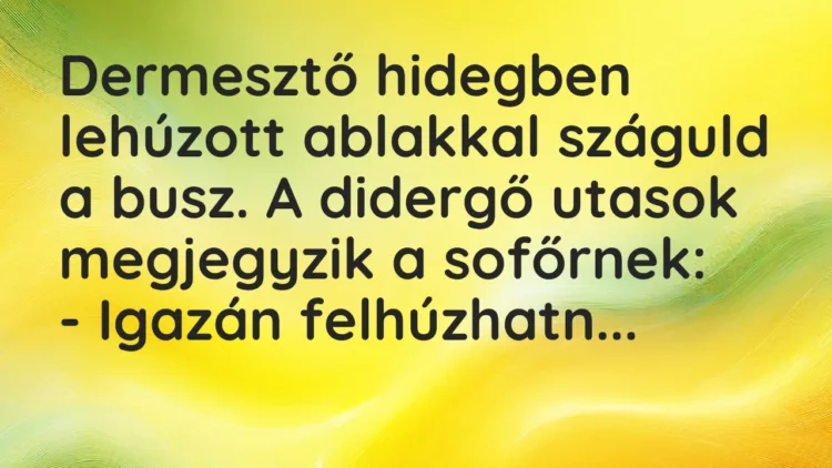 Vicc: Dermesztő hidegben lehúzott ablakkal száguld a busz. A didergő utasok megjegyzik…
