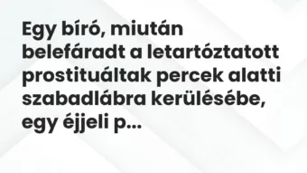 Vicc: Egy bíró, miután belefáradt a letartóztatott prostituáltak percek alatti…