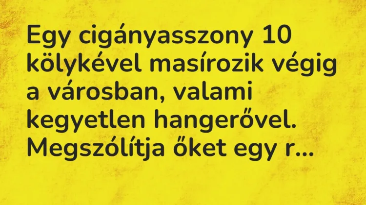Vicc: Egy cigányasszony 10 kölykével masírozik végig a városban, valami kegyetlen…