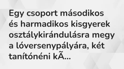 Vicc: Egy csoport másodikos és harmadikos kisgyerek osztálykirándulásra megy a…