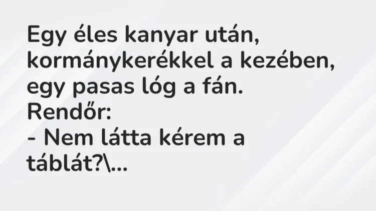 Vicc: Egy éles kanyar után, kormánykerékkel a kezében, egy pasas lóg a… Vicc: Egy éles kanyar után, kormánykerékkel a kezében, egy pasas lóg a…