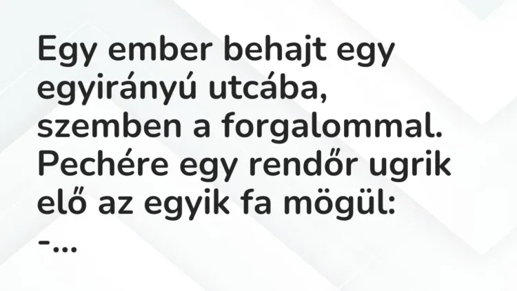 Vicc: Egy ember behajt egy egyirányú utcába, szemben a forgalommal. Pechére egy rendőr… Vicc: Egy ember behajt egy egyirányú utcába, szemben a forgalommal. Pechére egy rendőr…