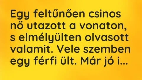 Vicc: Egy feltűnően csinos nő utazott a vonaton, s elmélyülten olvasott valamit. Vele…