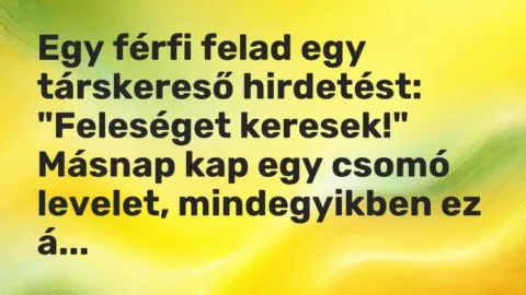 Vicc: Egy férfi felad egy társkereső hirdetést:

„Feleséget keresek!”

Másnap…