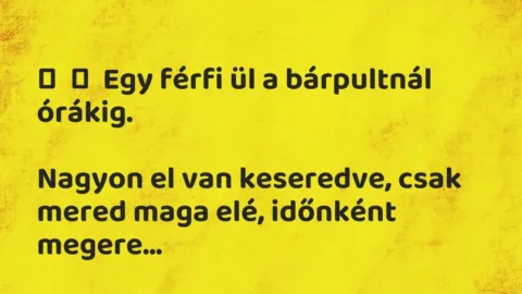 Vicc: 
	    	    Egy férfi ül a bárpultnál órákig.


Nagyon el van keseredve,…