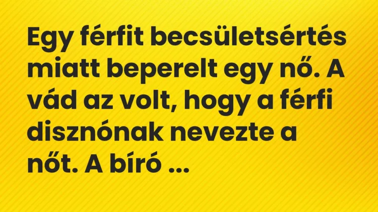 Vicc: Egy férfit becsületsértés miatt beperelt egy nő. A vád az volt, hogy a férfi…