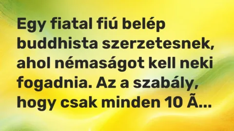 Vicc: Egy fiatal fiú belép buddhista szerzetesnek, ahol némaságot kell neki fogadnia….