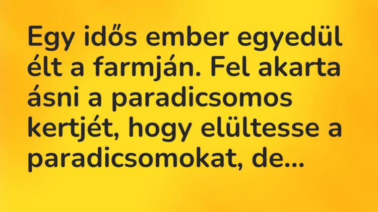 Vicc: Egy idős ember egyedül élt a farmján. Fel akarta ásni a paradicsomos kertjét,…