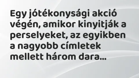 Vicc: Egy jótékonysági akció végén, amikor kinyitják a perselyeket, az egyikben a…