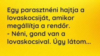 Vicc: Egy parasztnéni hajtja a lovaskocsiját, amikor megállítja a rendőr. – Néni,…