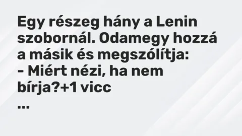 Vicc: Egy részeg hány a Lenin szobornál. Odamegy hozzá a másik és megszólítja:

-…