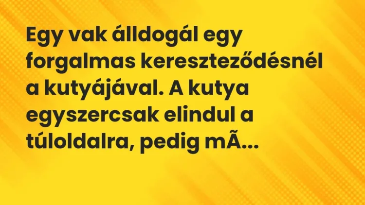 Vicc: Egy vak álldogál egy forgalmas kereszteződésnél a kutyájával. A kutya… Vicc: Egy vak álldogál egy forgalmas kereszteződésnél a kutyájával. A kutya…