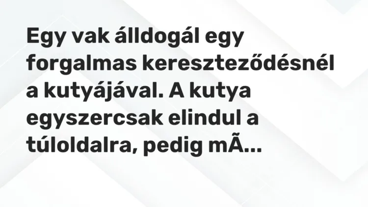 Vicc: Egy vak álldogál egy forgalmas kereszteződésnél a kutyájával. A kutya…