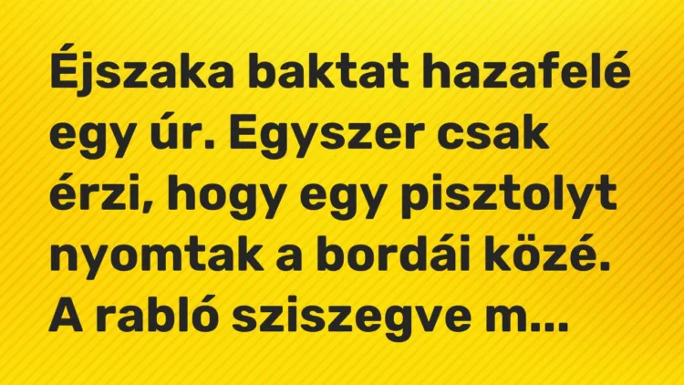 Vicc: Éjszaka baktat hazafelé egy úr. Egyszer csak érzi, hogy egy pisztolyt nyomtak a…