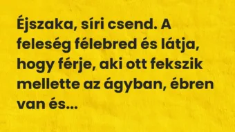 Vicc: Éjszaka, síri csend. A feleség félebred és látja, hogy férje, aki ott fekszik…