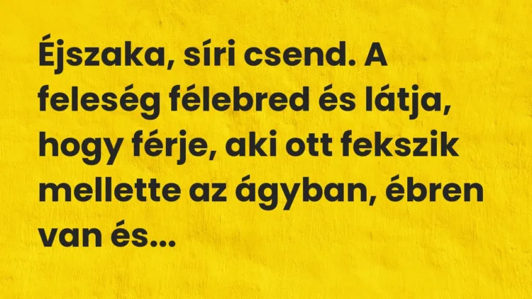 Vicc: Éjszaka, síri csend. A feleség félebred és látja, hogy férje, aki ott fekszik…