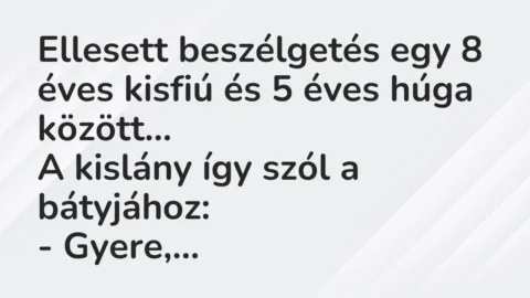 Vicc: Ellesett beszélgetés egy 8 éves kisfiú és 5 éves húga között…

A kislány…