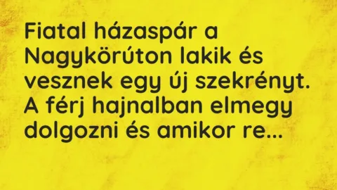 Vicc: Fiatal házaspár a Nagykörúton lakik és vesznek egy új szekrényt.

A férj…